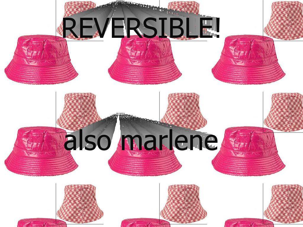 realreversiblebuckethats