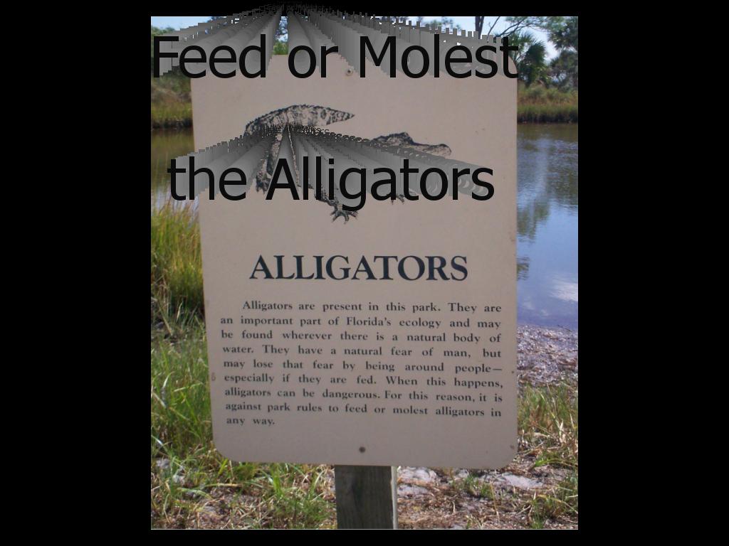 Gatormolestation