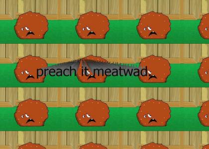 Meatwad speaks the truth