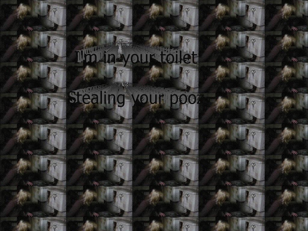 toiletpooz