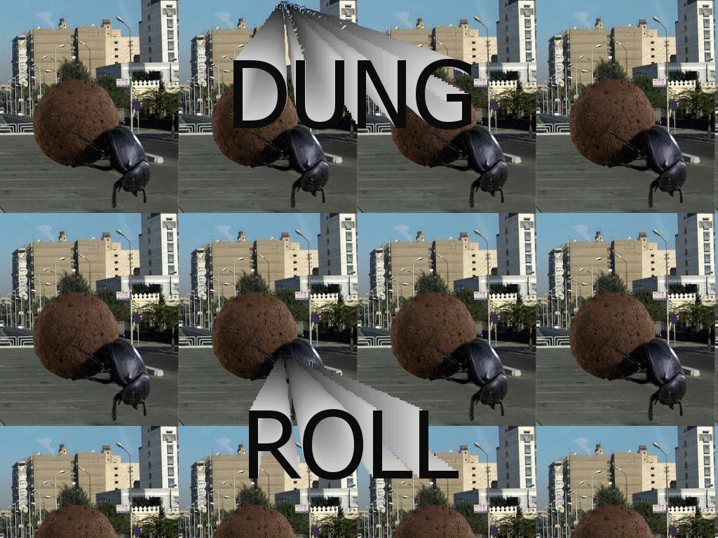 dungroll