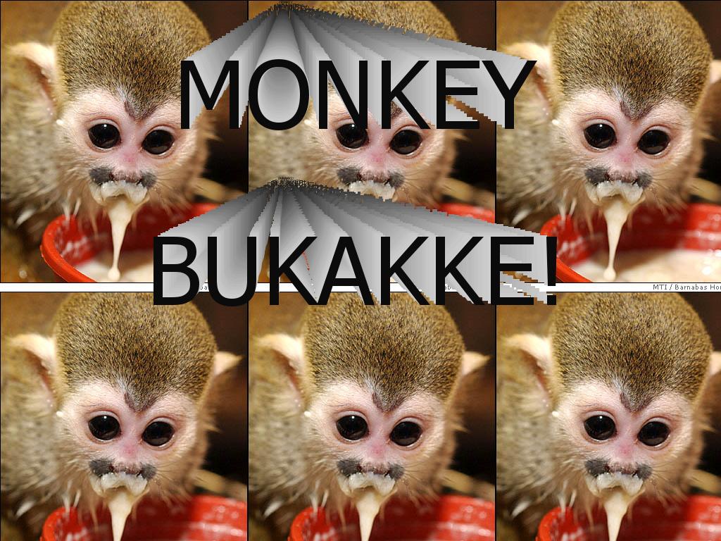 monkeybukakke