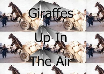 Giraffes In The Air