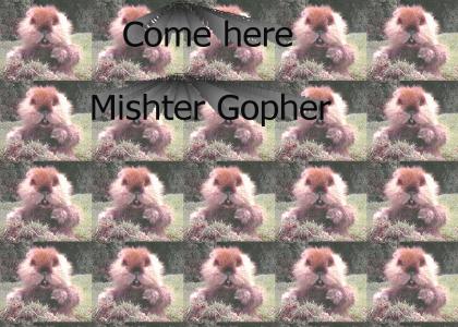 Come here gopher
