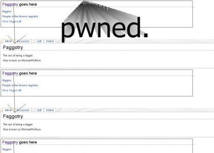MichaelWolfson is PWNED by Wikipedia