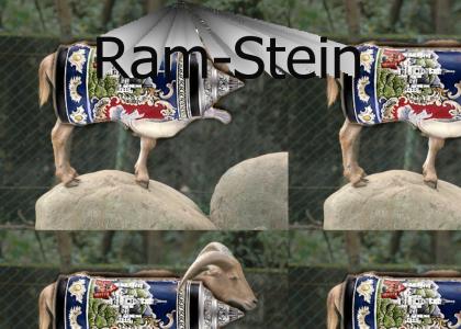 The True Definition of Rammstein