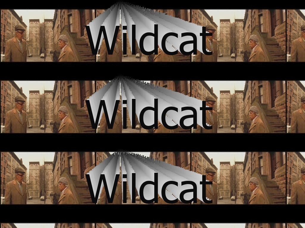 wildcat