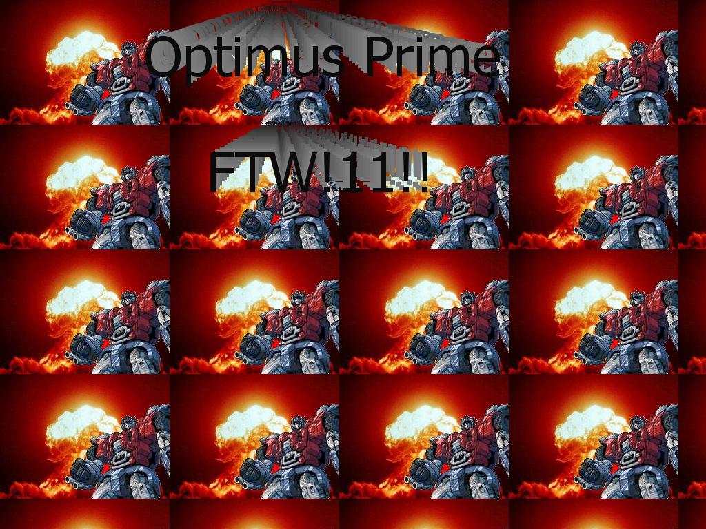 optimuspmg