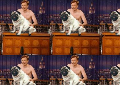 Doggy Doesn't Want To Have Sex With Conan