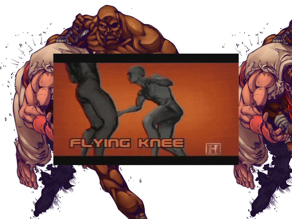 flyingknee