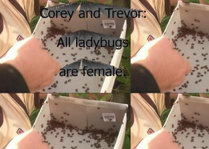 Trailer Park Boys: Ladybugs
