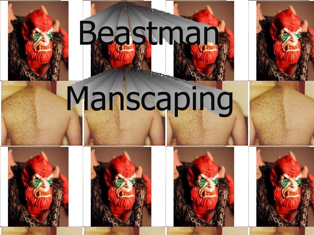 manscapinglol