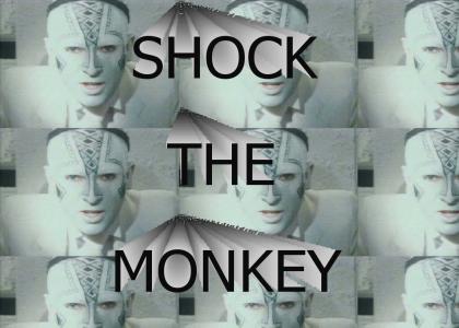 SHOCK THE MONKEY!!