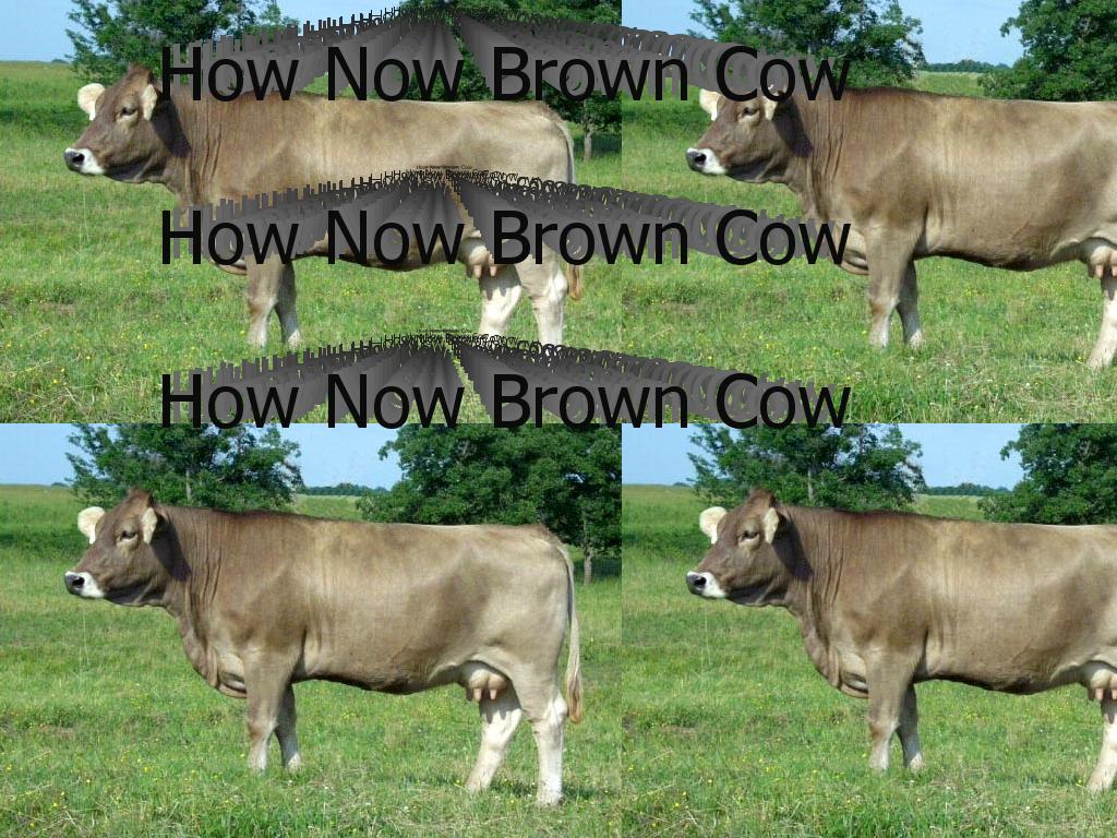 HowNowBrownCow