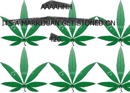420 get stoned on meriihuana .