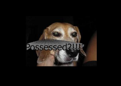 possesseddoby