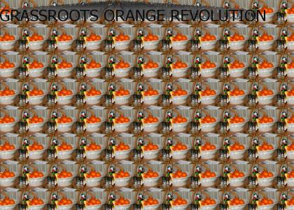 Grassroots orange revolution