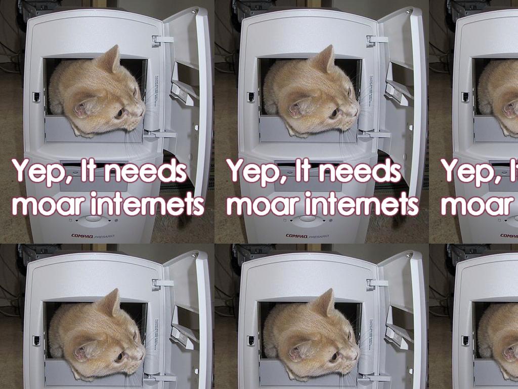 internetcat