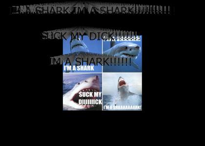 IM A SHARK!