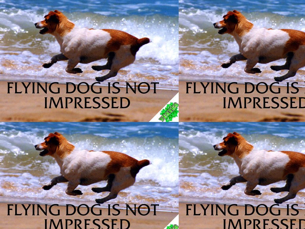 flyingdogisnotimpressed2