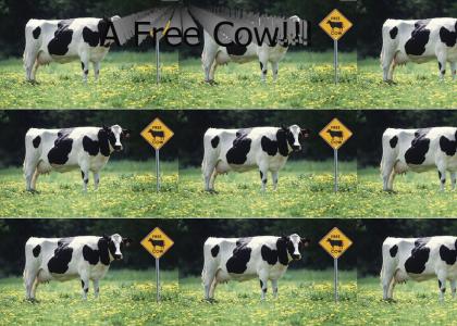 A Free Cow