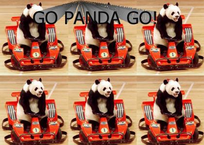 GO PANDA GO