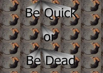 Be Quick or Be Dead