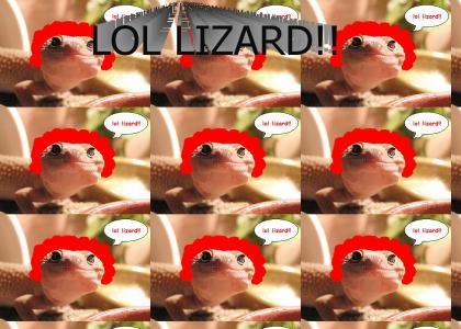 lol lizard!!