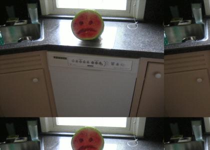 Watermelon Commits Suicide