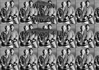 Wax On, Wax Off-Mr Miyagi