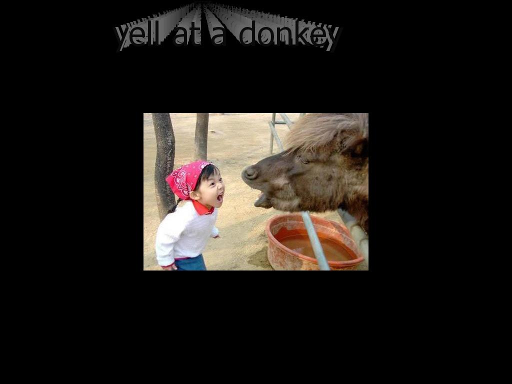 yellatdonkey