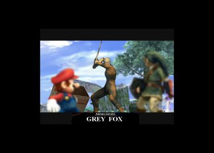 Smash bros brawl newcomer. Grey Fox.