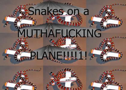 Snakes on a Plane!