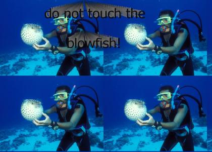When diving, always remember...