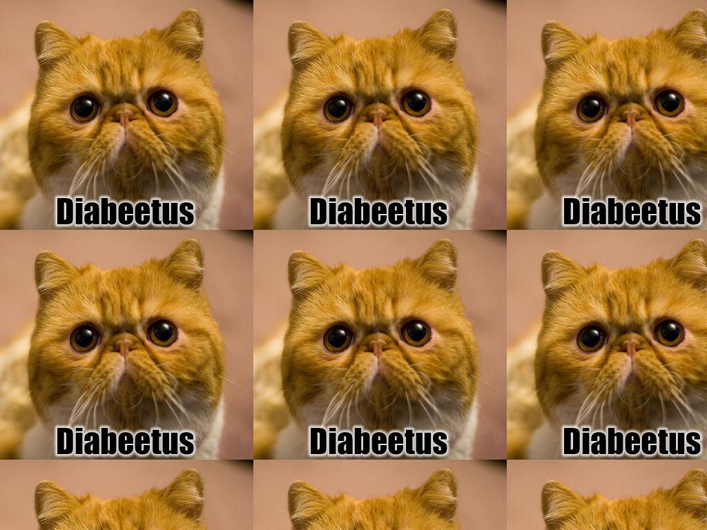 diabeetuscat