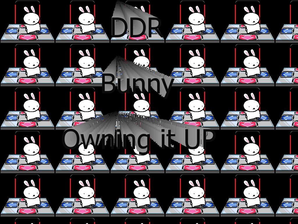 ddrbunny