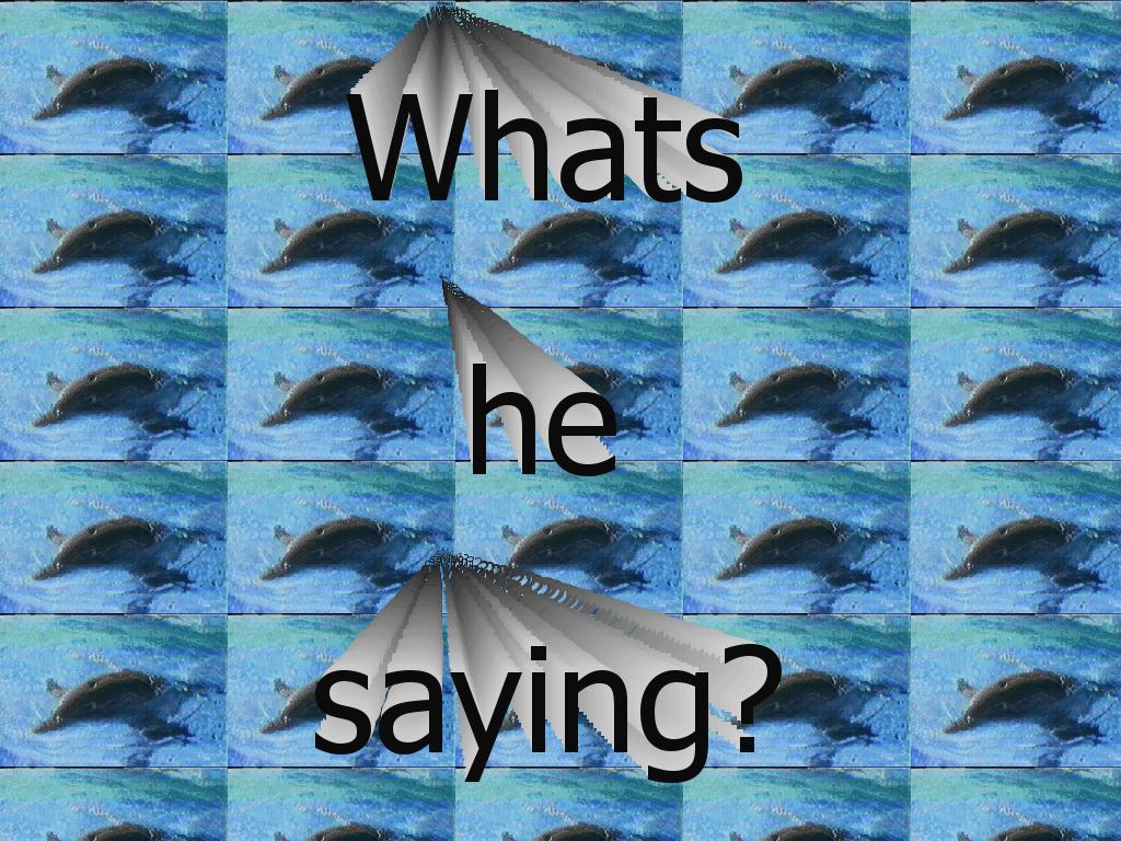 dolphinvenom
