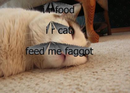 FOOD IS A CAT GO MEOW MEOW