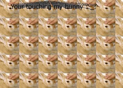 Your touching my bunny