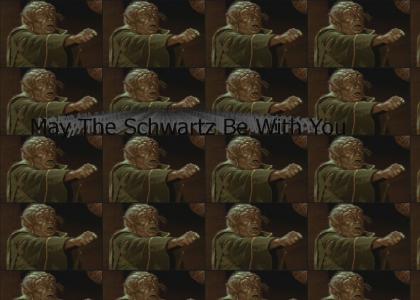 May the Schwartz be with You