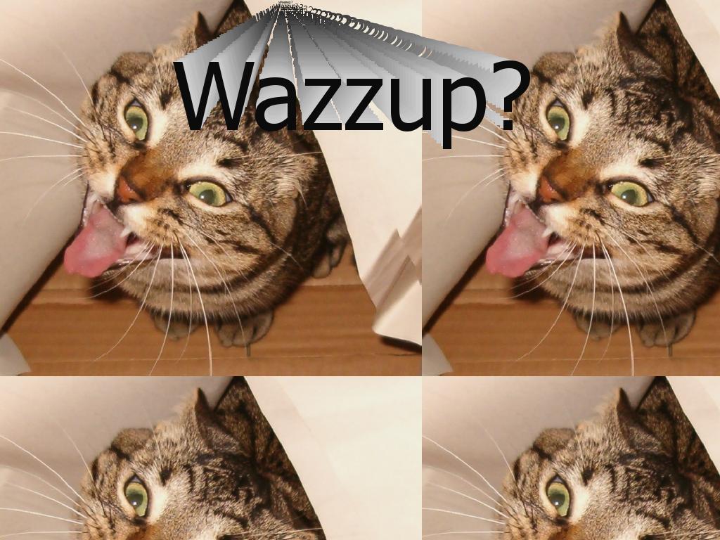 wazzupcat