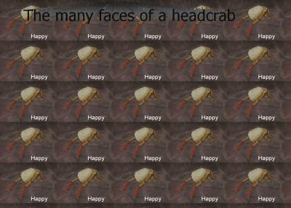 The many moods of a headcrab