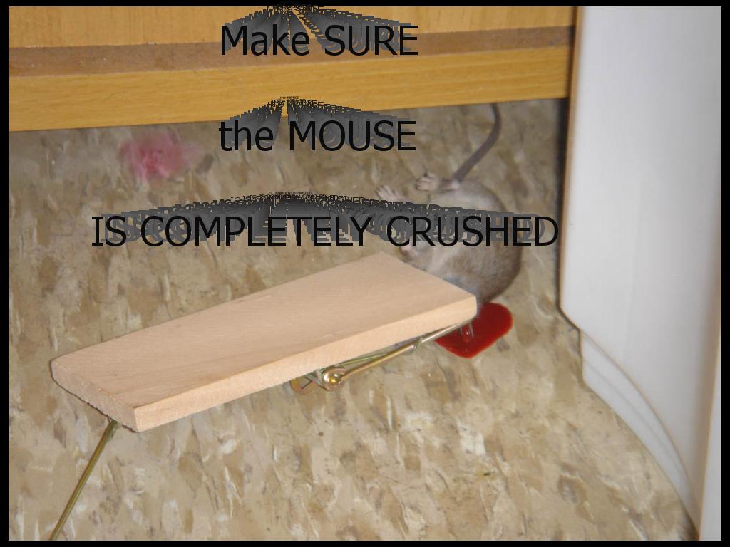 mousecrush