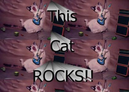 Forget Supercat.  This is Rocker Cat