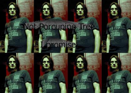 Not Porcupine Tree