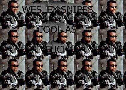 WESLEY SNIPES COOL AS FUCK