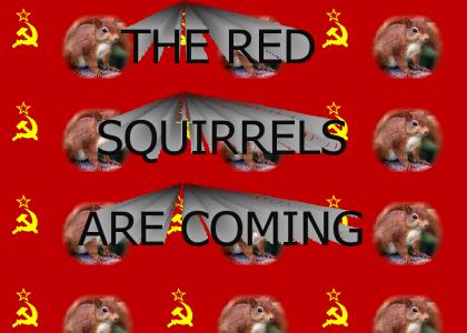 The Red Squirrels are Coming!!!!