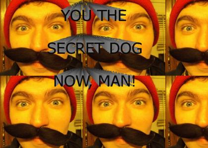 You The Secret Dog Now, Man!