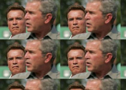 Arnold plans to kill Bush