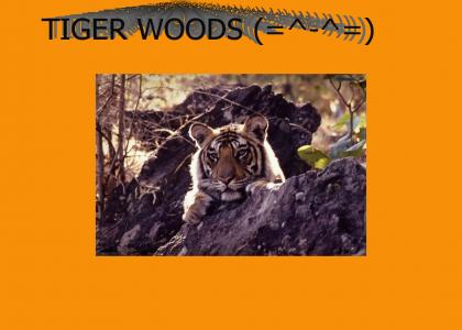 TigerWoods